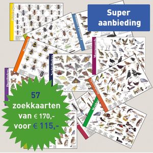 Tringa Paintings Complete set herkenningskaarten (57 stuks) met opbergmap