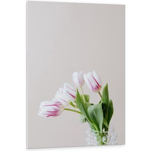 Forex - Vaasje met Witte/Roze Tulpen - 80x120cm Foto op Forex