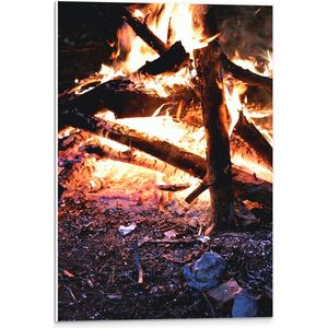 PVC Schuimplaat - Kampvuur in Nacht - 40x60 cm Foto op PVC Schuimplaat (Met Ophangsysteem)