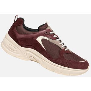 GEOX - Zarvia - Sneakers - Bordeaux