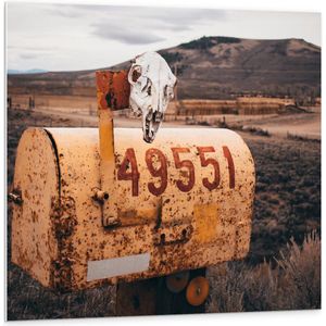 Forex - Witte Doodskop bij Oranje Brievenbus - 100x100cm Foto op Forex