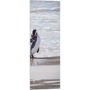 Vlag - Pinguïn met open Vleugel bij het Strand - 30x90 cm Foto op Polyester Vlag
