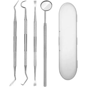 4-delige set tandheelkundige instrumenten - roestvrijstalen tandenstokers en flosstokjes - Mondverzorgingsinstrumenten voor tandartsen, persoonlijk gebruik en huisdieren - Inclusief mondspiegel, tandplakschraper, tandsonde en siliconenhoesje - Zilver