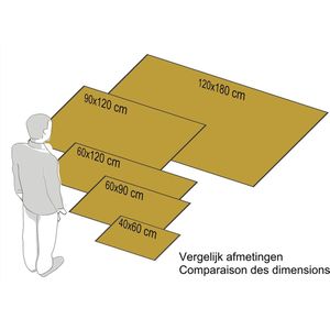 Ikado Droogloopmat binnen zwart - 90 x 120 cm
