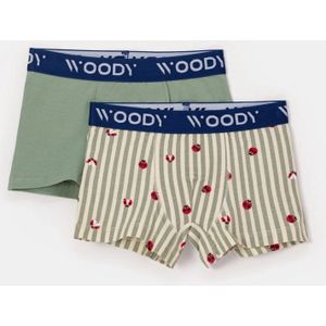 Woody duopack boxershort jongens - khaki/lieveheersbeestjes all-overprint - 251-10-CLD-Z/012 - maat 98