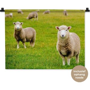 Wandkleed Schaap - Schapen in een weiland Wandkleed katoen 60x45 cm - Wandtapijt met foto