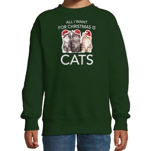 Kitten Kerstsweater / Kerst trui All I want for Christmas is cats groen voor kinderen - Kerstkleding / Christmas outfit 98/104