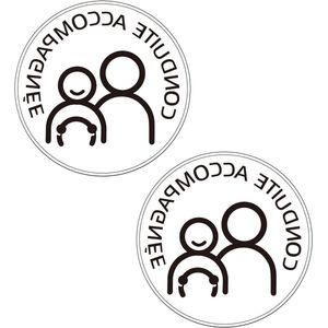 Magnetische rijsticker voor auto - 2 magnetische schijven met begeleidend en bestuurd rijden, ideaal voor jonge bestuurders om te leren