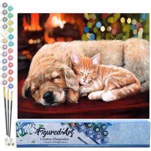 Figured'Art Schilderen op Nummer Volwassenen canvas Dutje met vrienden - Handwerk acrylverf Kit DIY Compleet - 40x50cm zonder frame