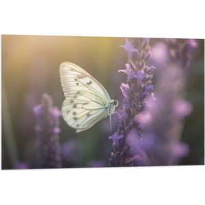 Vlag - Insect - Vlinder - Bloem - Lavendel - 90x60 cm Foto op Polyester Vlag