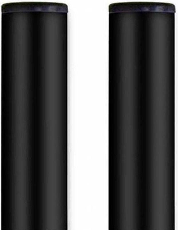 BURG-WÄCHTER - Universal 150 S - Brievenbusstandaard - Zwart - Roestvrij Staal, 150 cm, 2 Buizen