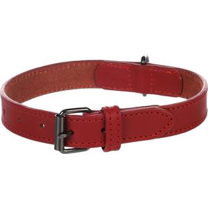 Flamingo Denver Gewoon - Halsband Honden - Halsband Denver Rood M/l 38-48cm 25mm - 1st