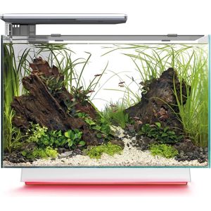SuperFish Quadro 70 Multi Colour Wit