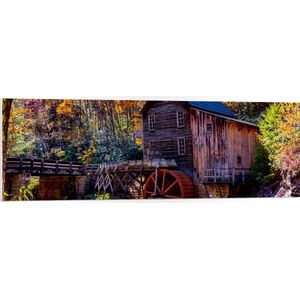 PVC Schuimplaat - Oud Houten Hutje in het Bos - 120x40 cm Foto op PVC Schuimplaat (Met Ophangsysteem)