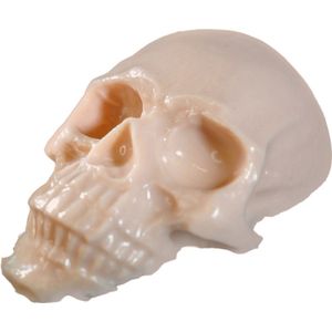 Reelskin - Synthetische Schedel Oefenhuid | Tattoo, PMU, Microblading, Browmapping Kunsthuid | Nephuid | Permanente Make-Up Oefenen | Tatoeage Oefenset | Oefen Huid | Beginners & Gevorderd | Set | Kit | Practice Skin Tattoo