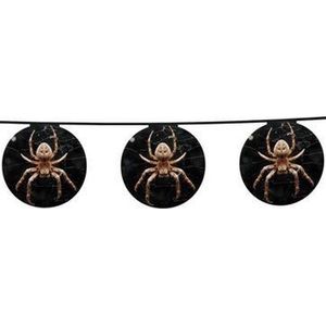 BOLAND BV - Spinnen slinger Halloween 4 meter - Decoratie > Slingers en hangdecoraties