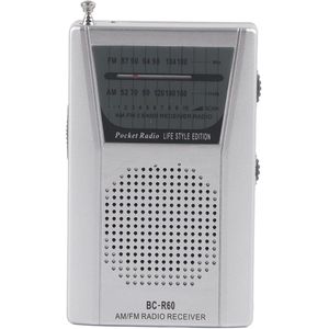 Draagbare Mini-radio met AM FM ontvangst en 5W Luidspreker - Ideaal voor Reizen en Noodgevallen