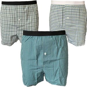 Embrator mannen Boxershorts 2-stuks geruit maat XXL