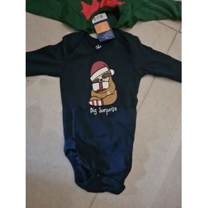 Lupilu Baby Rompertjes - 2 Stuks - Kerst rompertje - Katoen - lange mouwen - Maat 62/68
