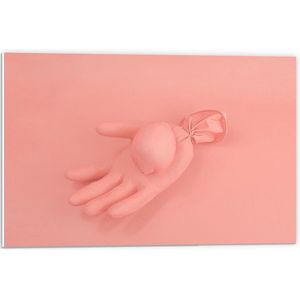 Forex - Roze Handschoen op Roze Achtergrond - 60x40cm Foto op Forex