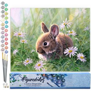 Figured'Art Schilderen op Nummer Volwassenen canvas Konijn en margrieten - Handwerk acrylverf Kit DIY Compleet - 40x50cm zonder frame