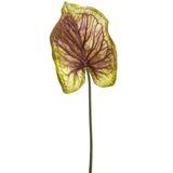 Fleurdirect - Kunsttak Caladium - Kunststof - Bordeaux - 0 x 70 x 0 cm (BxHxD)