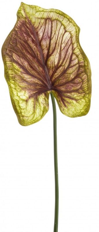 Fleurdirect - Kunsttak Caladium - Kunststof - Bordeaux - 0 x 70 x 0 cm (BxHxD)