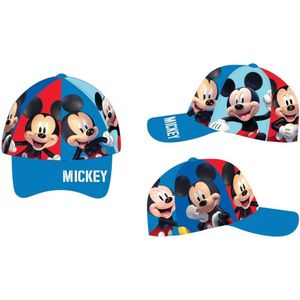 Mickey Mouse pet
