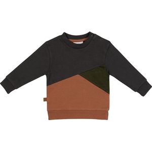 Frogs and Dogs - Dino Park Sweater Colour Block - - Maat 50 -