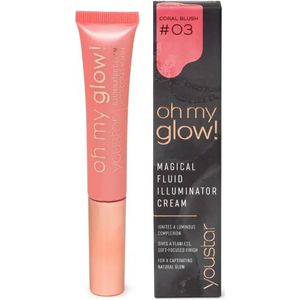 Youstar Oh My Glow Highlight Blush 03