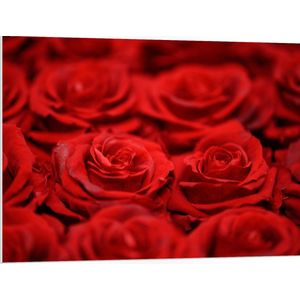 PVC Schuimplaat - Bloemen - Rozen - Rood - 100x75 cm Foto op PVC Schuimplaat (Met Ophangsysteem)