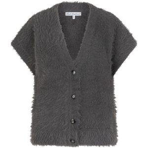 Red Button - Vest - Grijs - Effen - Halslijn V-hals