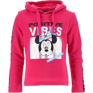 Minnie Mouse - Hoodie - Roze - 3 jaar - 98cm