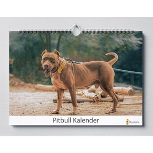 Cadeautip!  Pitbull verjaardagskalender | Pitbulls wandkalender | Verjaardagskalender 35x24 cm