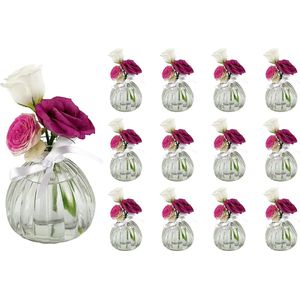 12 x kleine vaas met witte strik bloemen tafelvaas decoratie bruiloft party set fles glas helder (12 stuks) (pompoen
