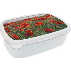 Broodtrommel Wit - Lunchbox - Brooddoos - Bloemen - Klaprozen - Natuur - Rood - 18x12x6 cm - Volwassenen