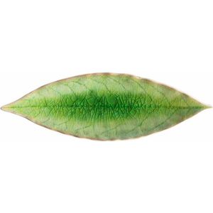 Costa Nova Riviera - servies - schaaltje blad - groen - aardewerk -  set van 8 - rond 17,8 cm