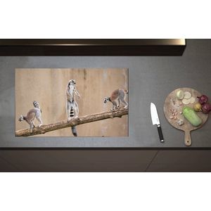 Inductieplaat Beschermer - Maki's apen op een Tak - 80x52 cm - 2 mm Dik - Inductie Beschermer van Vinyl