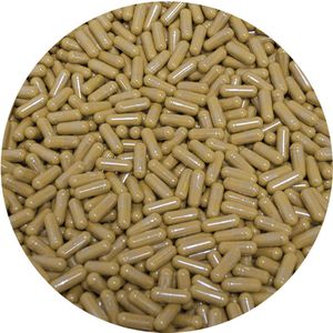 Lion's Mane Capsules 450mg 5000 Stuks - 5000 Capsules - Holyflavours