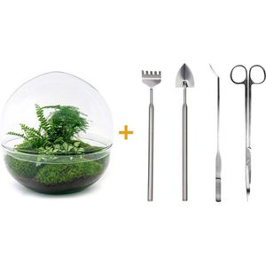 Green Harmony | DIY terrarium - Dome XL -  30 cm