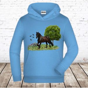 Lichtblauwe hoodie met paard -James & Nicholson-98/104-Hoodie meisjes