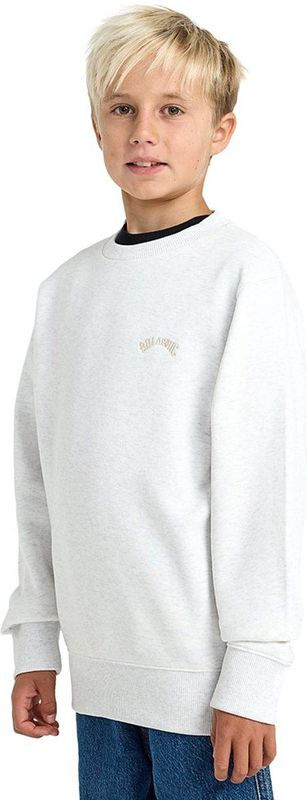 Billabong - Arch Cr - Sweatshirt - Grijs - Jongens 14 Years