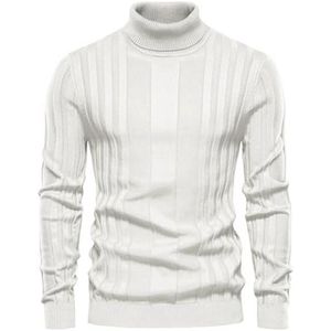 Heren coltrui met lange mouwen, casual slim fit, opstaande kraag