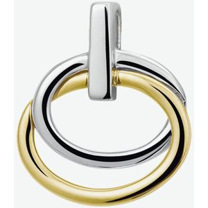 Hanger - Bicolor - 14K Goud Geel/Wit - 4205250