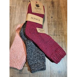 3 Paar - Alpaca Wollen Sokken - Maat 38-42 - Wintersokken - Vrijetijdsokken - Wandelsokken - Huissokken