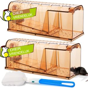 Muizenval Diervriendelijke