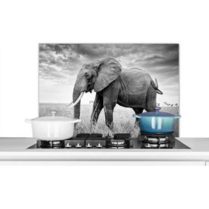 Spatscherm keuken 90x60 cm - Kookplaat achterwand Olifant - Gras - Dieren - Zwart wit - Muurbeschermer - Spatwand fornuis - Hoogwaardig aluminium