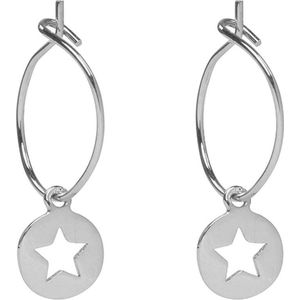 Ster oorbellen - Gold plated - Twinkle star - Zilverkleurig