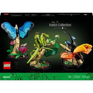 LEGO Ideas De Insectencollectie - 21342