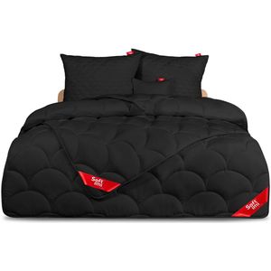 Anti-allergisch Dekbed 220x240cm + 2 kussen 70x80cm - 4 seizoenen
